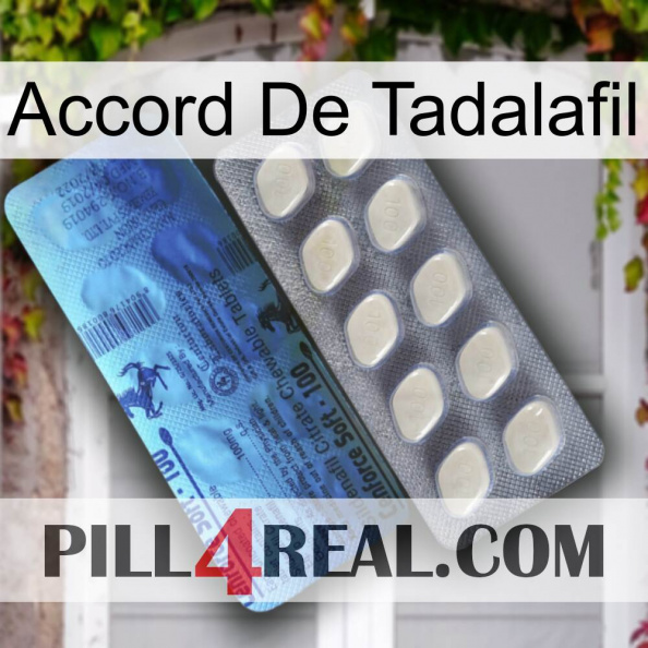 Tadalafil Accord 34